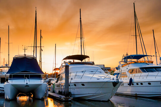 Boats Moored in Marina